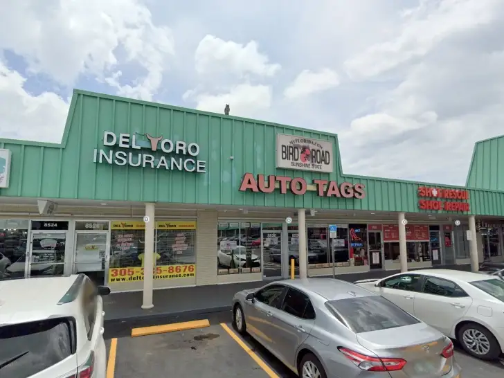 Bird Road Auto Tag Agency