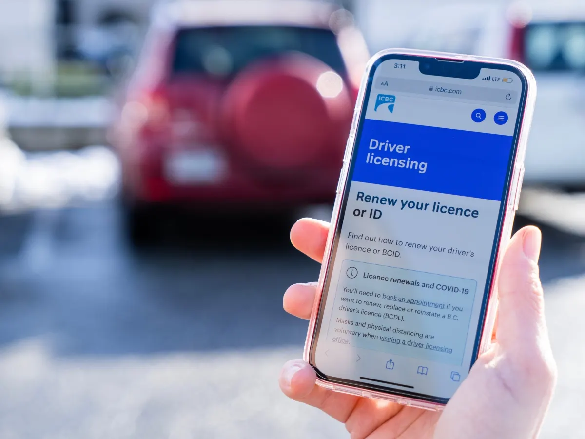renewing a new york state driver's license